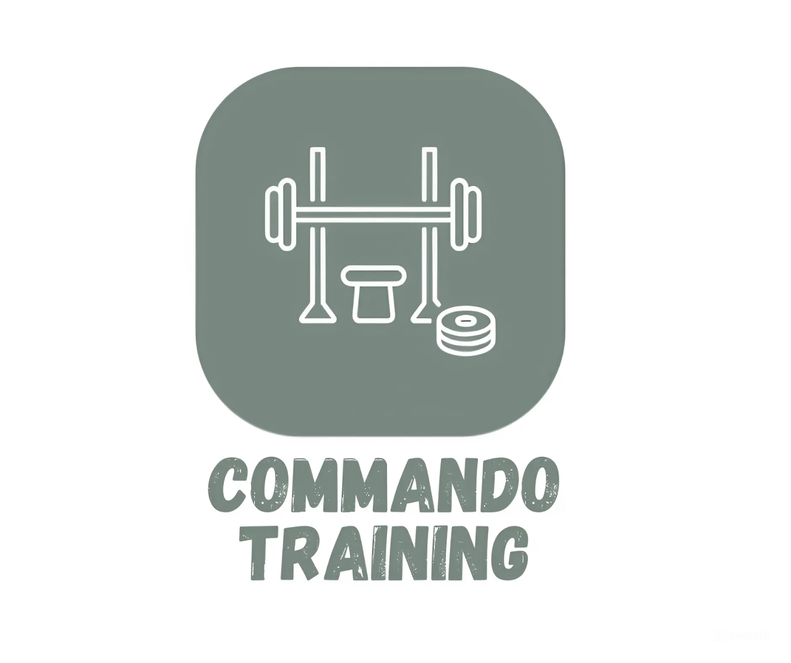 Commando Training Supplies Ecommerce Businesses for Sale